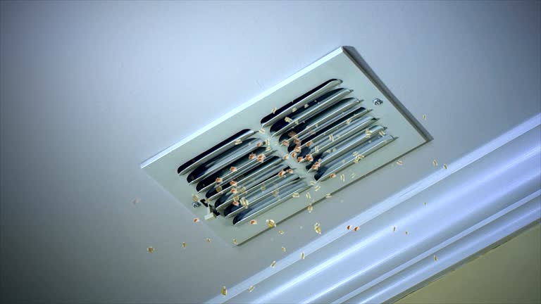 Best Emergency Air Duct Cleaning  in Halsey, OR
