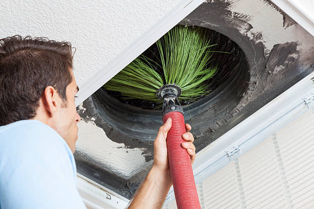 Best Affordable Air Duct Cleaning  in Halsey, OR